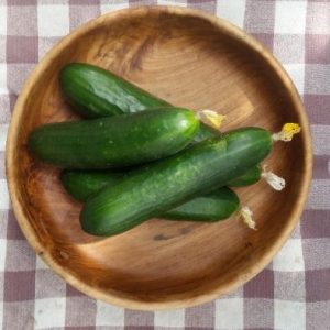 Slicing Cucumbers: 3 count