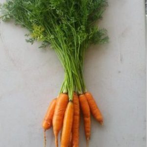 carrots