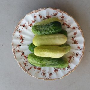 Kirby Cukes: 1 pound