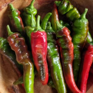 Pepper: Aleppo