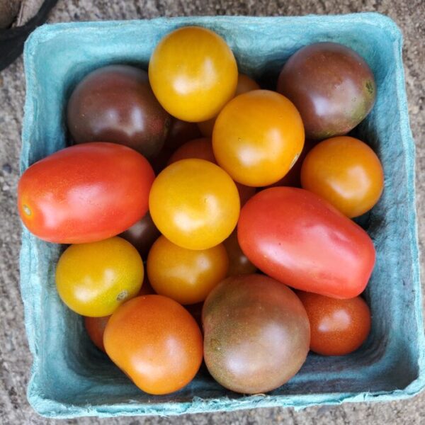 Snacking Tomatoes:  1# (Yes we still have tomatoes!!!)