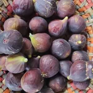 Figs 1/2#