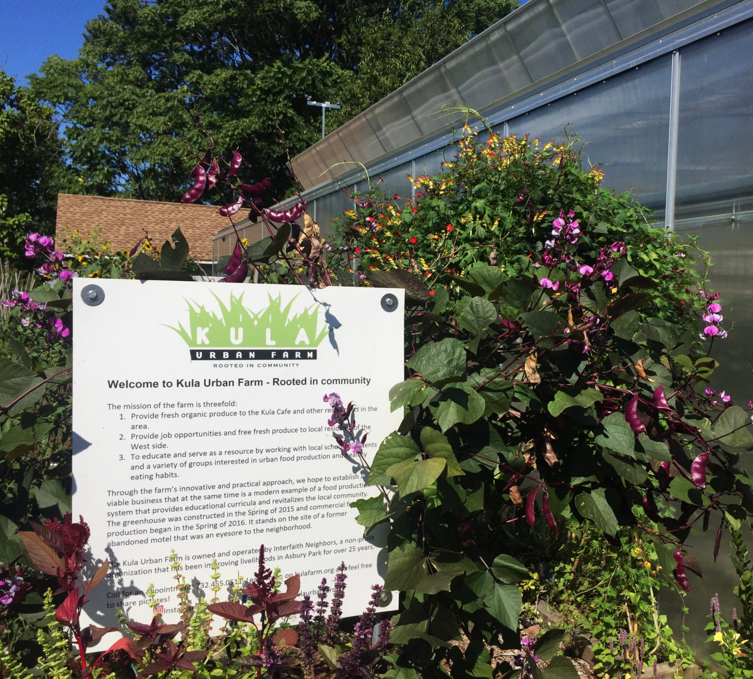 Interfaith Neighbors