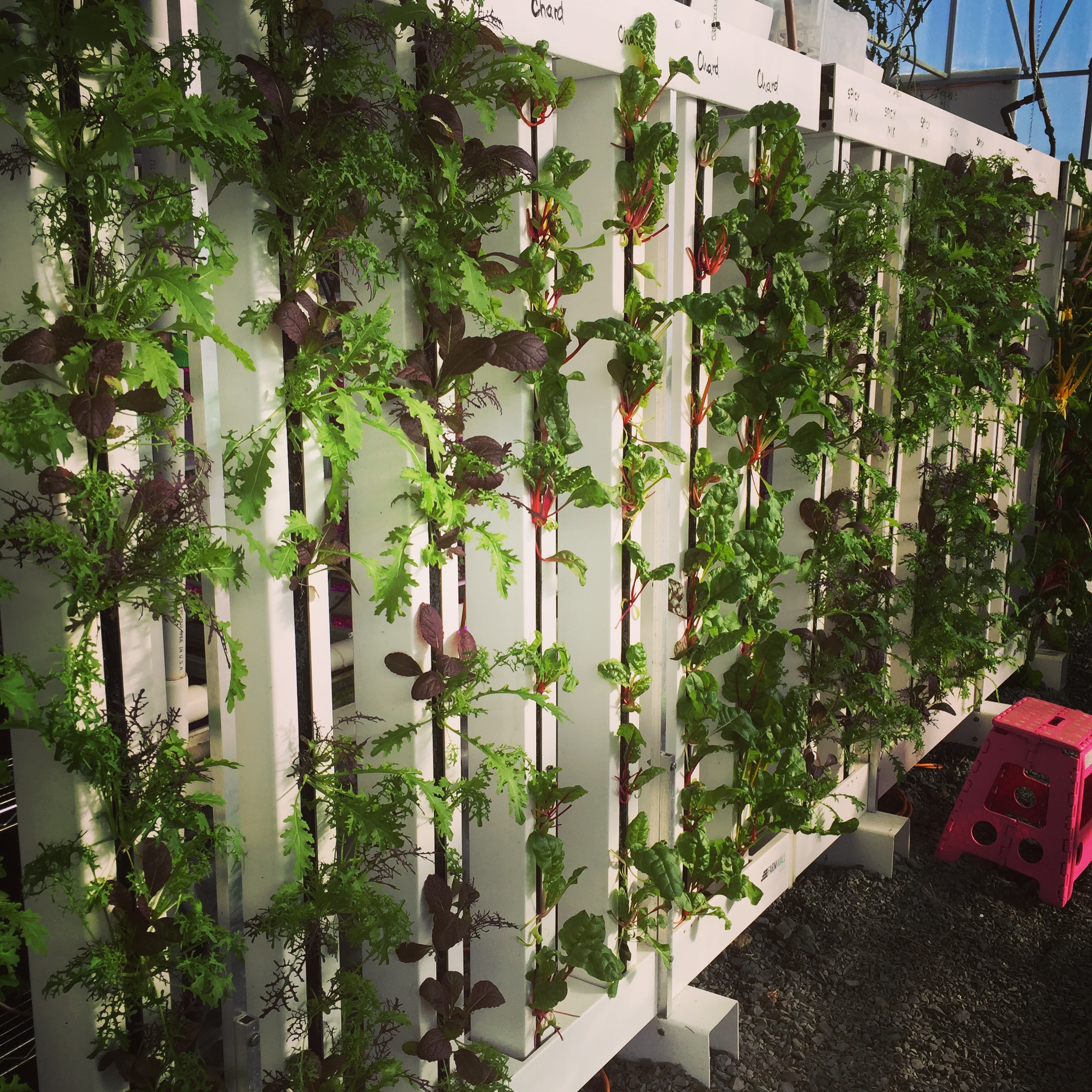 Interfaith Neighbors