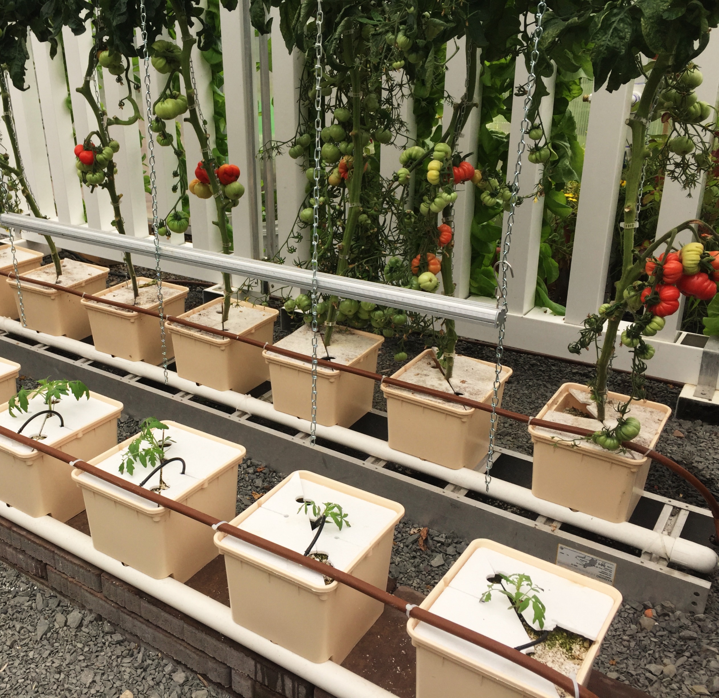 Interfaith Neighbors