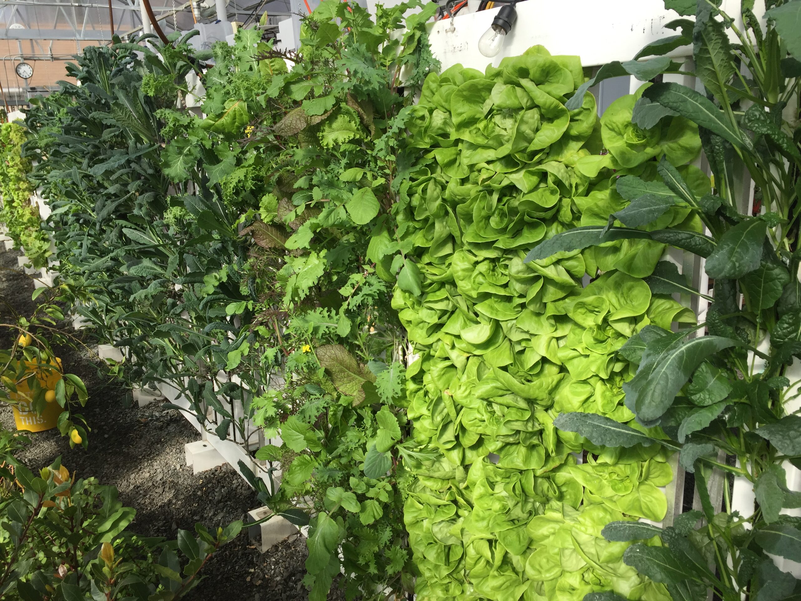 Interfaith Neighbors