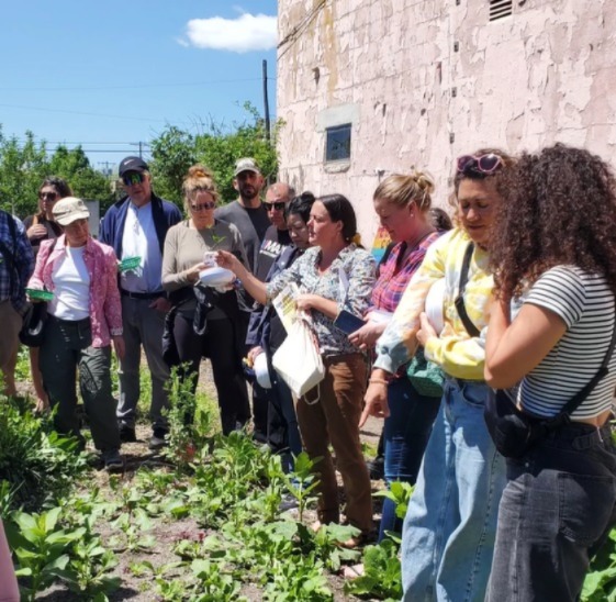 Interfaith Neighbors